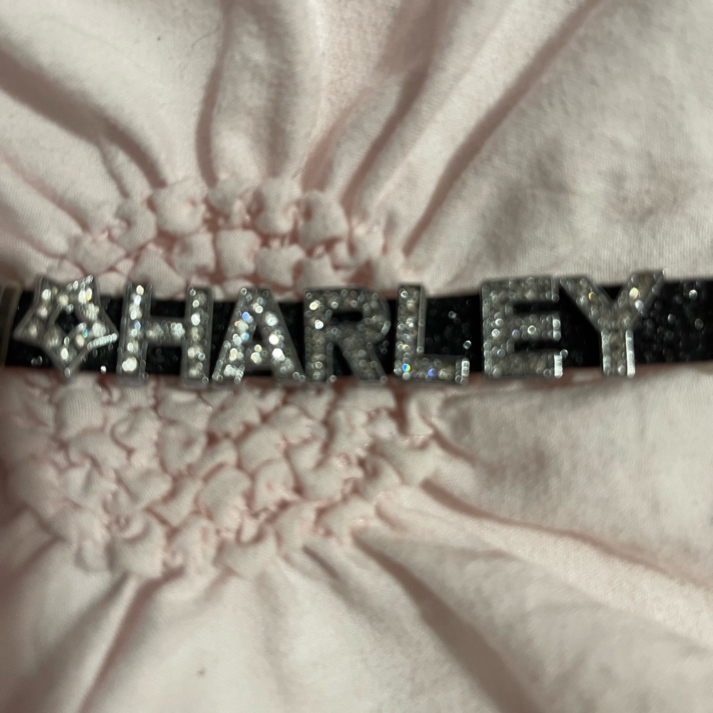 Harley rhinestone and glitter band bracelet or tiny dog collar